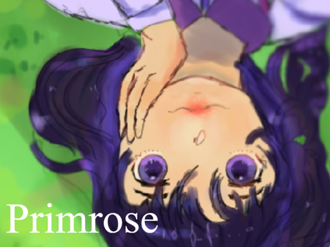 P r i m r o s e °❀⋆.ೃ࿔*:･