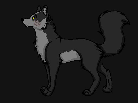 Wolf CCE (Onyx)