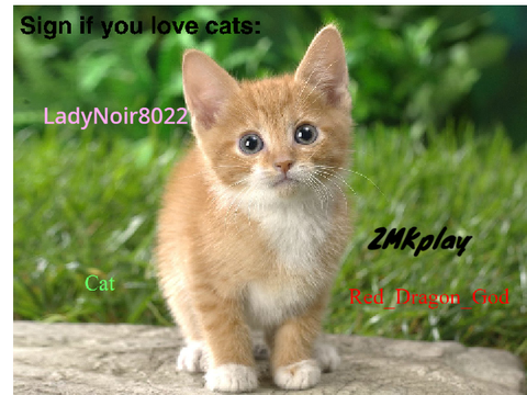 Sign if you love cats remix(x4) ^-^