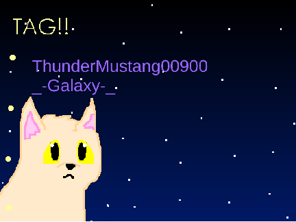 Warrior Cats Meme remix