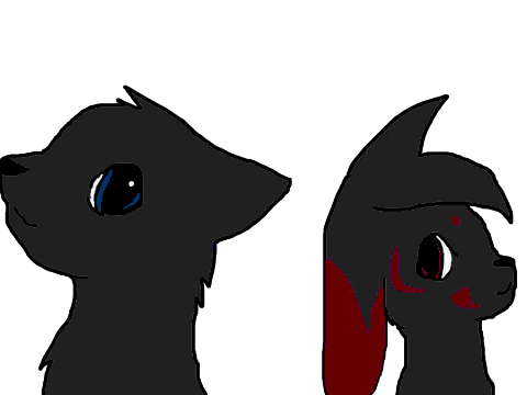 Shadowheart and Shadow