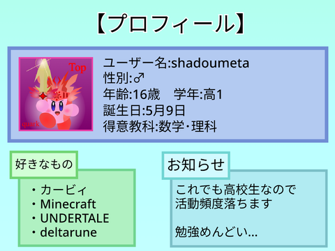≪仮プロフィール≫