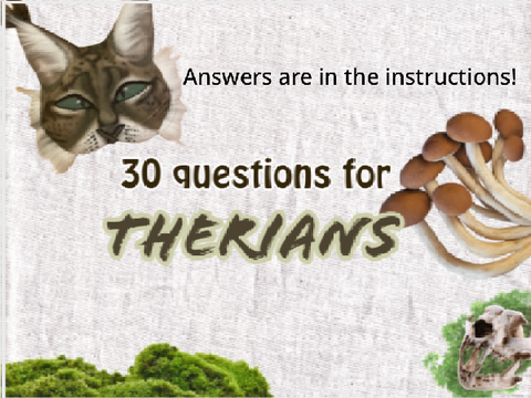 My answers to 30 therian questions! remix remix