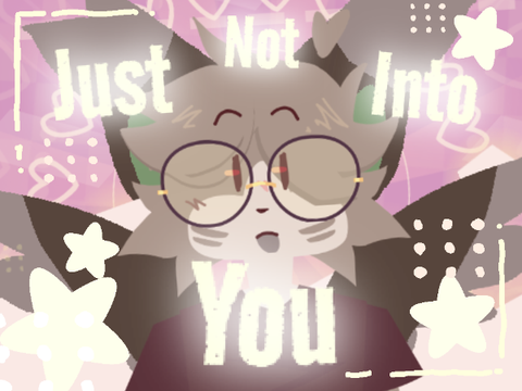 Just not into you • Meme Gift