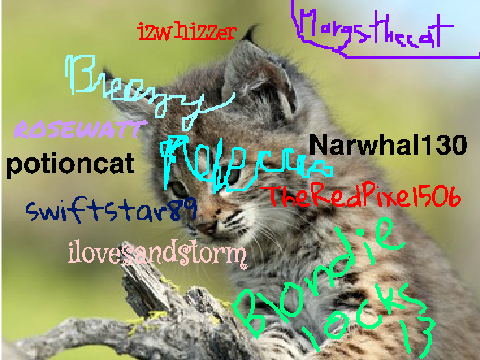 Sign here if you're against Bobcat hunting!  remix remix remix remix remix remix remix-2 remi… remix
