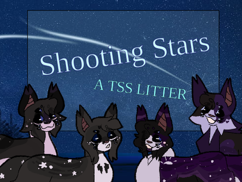 [CLOSED] ✧ Shooting Stars - a TSS Litter ✧