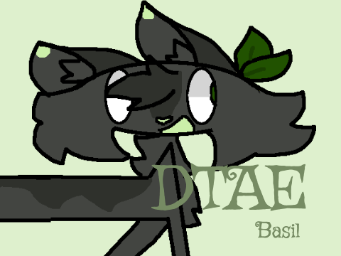 DTAE || Basil