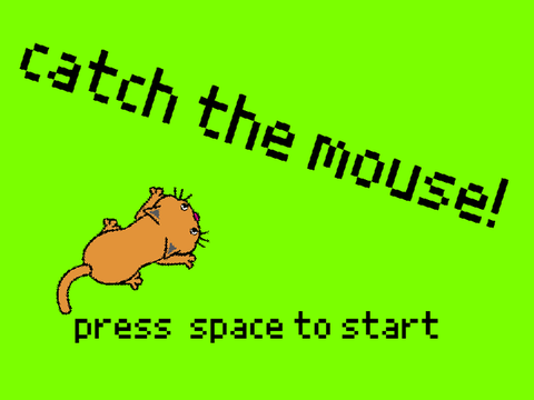 catch the mouse!!