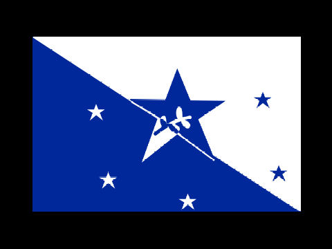 Possible flag for alliance? remix