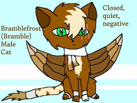 About my OCs