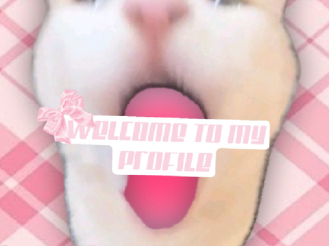 ~⋆ ˚｡⋆୨୧˚ click here to learn more about me
