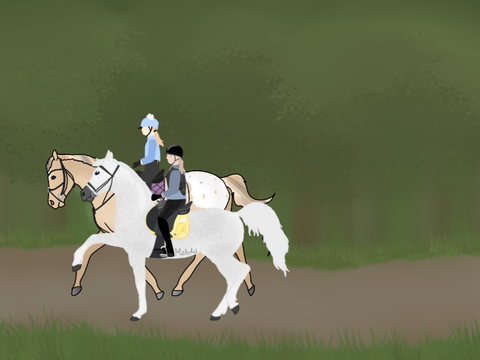 Trail ride anyone?