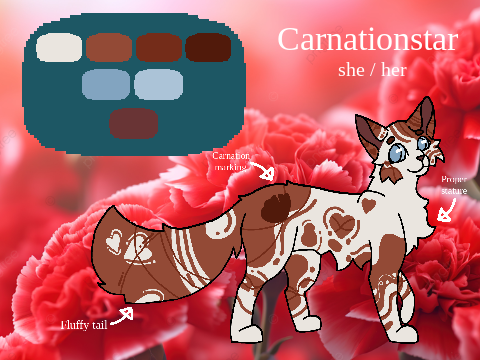 ' Carnationstar ' [ gen ]