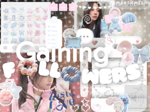 013 ➼ ┆ gaining follows quickly