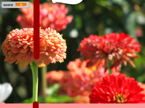 Flower Game