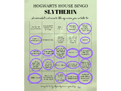 Slytherin Bingo! remix