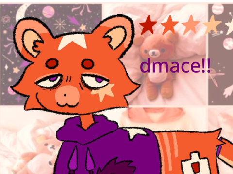 ‣ starry bear dmace