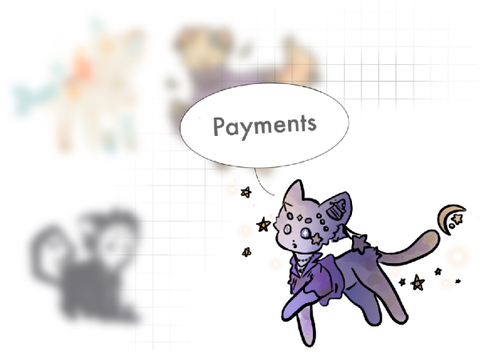 Payments for Sn0wflake333