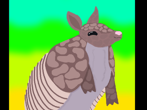 pfp for @ProArmadillo