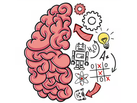 BRAIN TEST: TRICKY PUZZLES (remade)