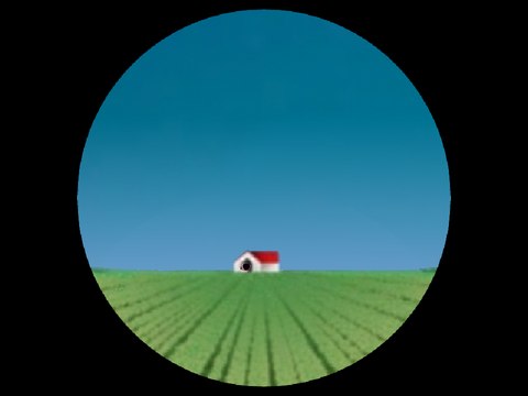 Eye test