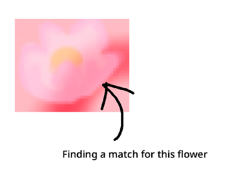 Trying to find a match for the sus flower