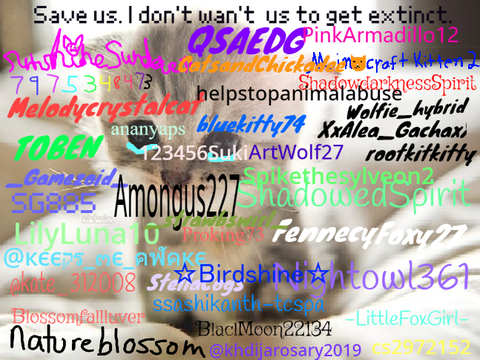 Sign if you hate animal cruelty !!!  remix remix