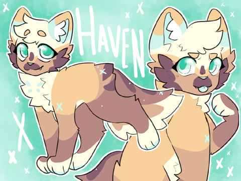Ray's Rotating DTAE || Haven