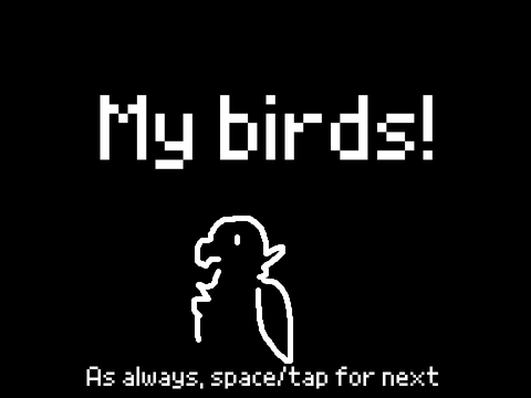 Pics of my birds!