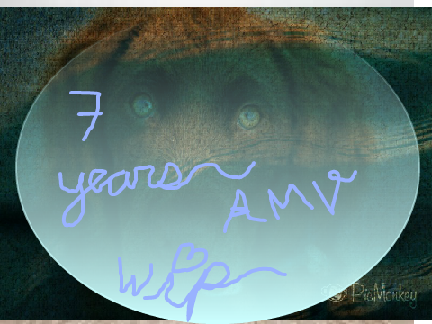7 years AMV WIP