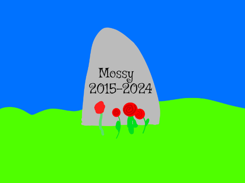 Plant a flower remix