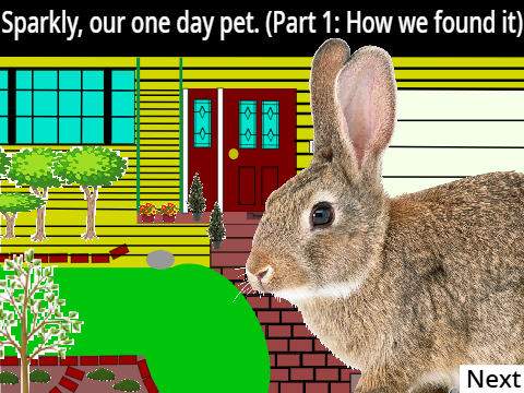 Sparkly, our one day pet. (Part 1: How we found it)