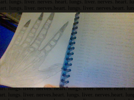 heart. lungs. liver. nerves.