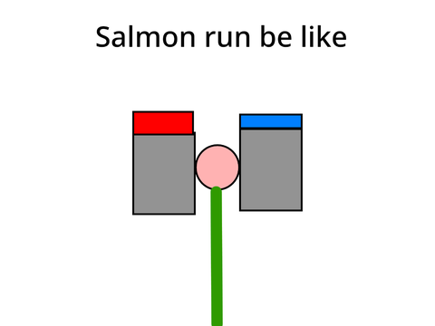 salmon run be like