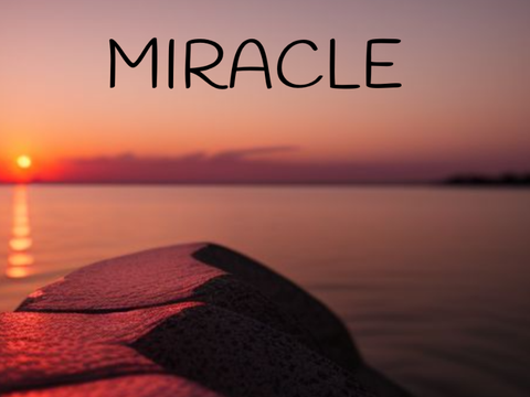 Miracle Voice audition