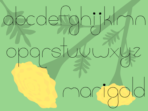 ♡ marigold ♡