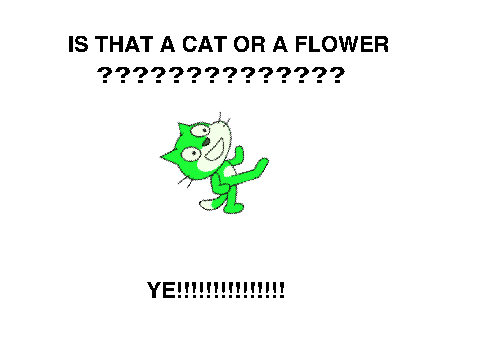 color flower ye