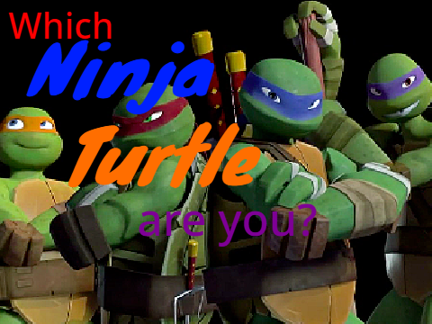 Which Ninja Turtle Are You???