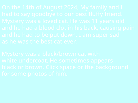 Rest in Peace. My cat died.