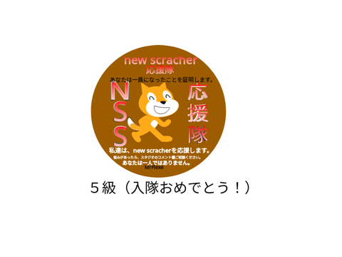 nssの専用バッジMrFlexe