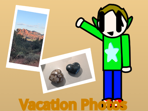 Vacation Pictures