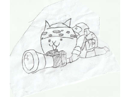 ネコカメラマン