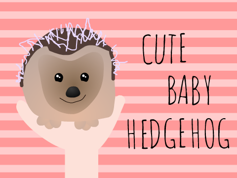 Cute Baby Hedgehog 