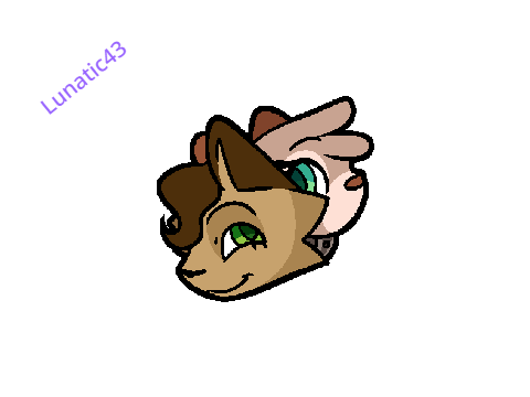 remix and sign if you wished @moss-shadow was never deleted/banned
