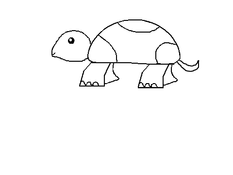 Turtle Speed Drawing