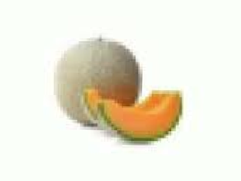 Cantaloupe