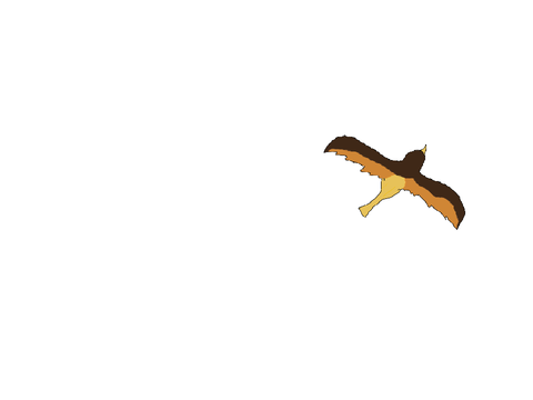 Swooping bird - Free animation 