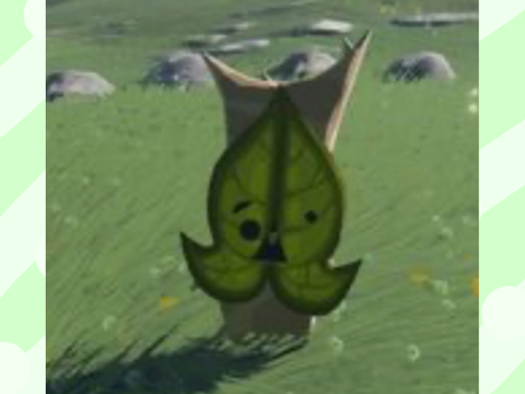 Yahaha, You