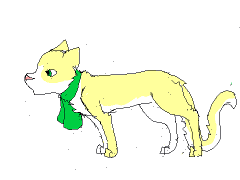 CAt Walking