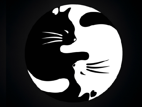 MoonClan VS SunClan adventure game? remix